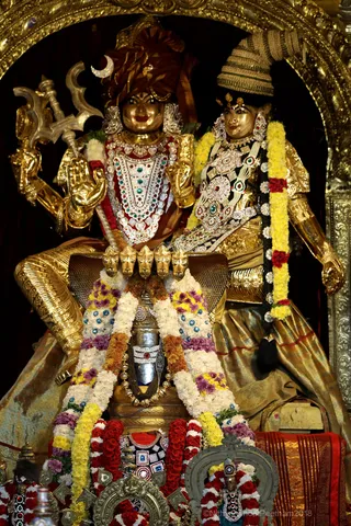 http://nithyananda.org/sites/default/files/photo-gallery/2018-11Nov-18-nithyananda-diary_bengaluru-aadheenam_uttamotama-seva_7T7A1677.JPG