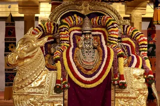 http://nithyananda.org/sites/default/files/photo-gallery/2018-11Nov-19-nithyananda-diary_bengaluru-aadheenam_uttamotama-seva_7T7A1727.JPG