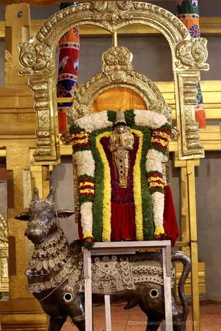 http://nithyananda.org/sites/default/files/photo-gallery/2018-11Nov-20-nithyananda-diary_bengaluru-aadheenam_uttamotama-seva_7T7A1887.JPG