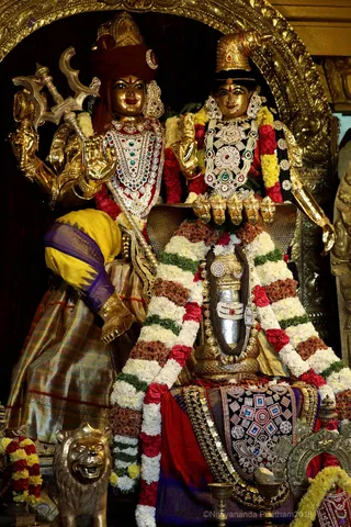 http://nithyananda.org/sites/default/files/photo-gallery/2018-11Nov-21-nithyananda-diary_bengaluru-aadheenam_uttamotama-seva_7T7A2115.JPG