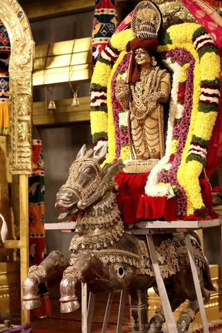 http://nithyananda.org/sites/default/files/photo-gallery/2018-11Nov-22-nithyananda-diary_bengaluru-aadheenam_uttamotama-seva_7T7A2128.JPG