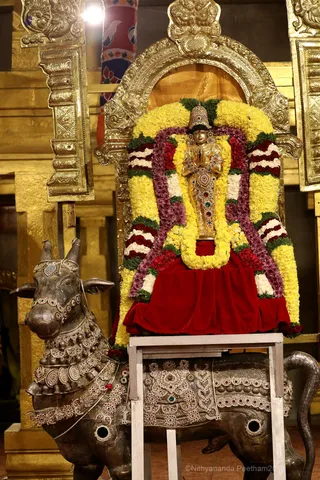 http://nithyananda.org/sites/default/files/photo-gallery/2018-11Nov-22-nithyananda-diary_bengaluru-aadheenam_uttamotama-seva_7T7A2134_0.JPG