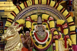 http://nithyananda.org/sites/default/files/photo-gallery/2018-11Nov-22-nithyananda-diary_bengaluru-aadheenam_uttamotama-seva_7T7A2172.JPG