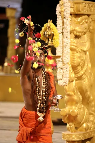 http://nithyananda.org/sites/default/files/photo-gallery/2018-11Nov-22-nithyananda-diary_bengaluru-aadheenam_uttamotama-seva_7T7A2546.JPG