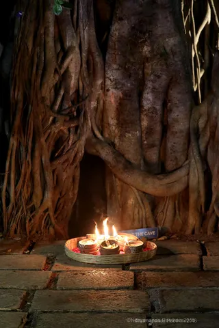 http://nithyananda.org/sites/default/files/photo-gallery/2018-11Nov-23-nithyananda-diary_bengaluru-aadheenam_bharani-karthigai-deepam_7T7A2606.jpg