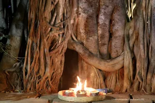 http://nithyananda.org/sites/default/files/photo-gallery/2018-11Nov-23-nithyananda-diary_bengaluru-aadheenam_bharani-karthigai-deepam_7T7A2609.jpg