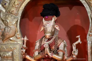 http://nithyananda.org/sites/default/files/photo-gallery/2018-11Nov-23-nithyananda-diary_bengaluru-aadheenam_bharani-karthigai-deepam_7T7A2715.jpg