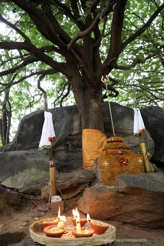 http://nithyananda.org/sites/default/files/photo-gallery/2018-11Nov-23-nithyananda-diary_bengaluru-aadheenam_bharani-karthigai-deepam_7T7A2861.jpg