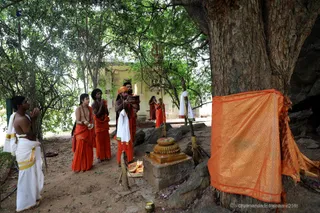 http://nithyananda.org/sites/default/files/photo-gallery/2018-11Nov-23-nithyananda-diary_bengaluru-aadheenam_bharani-karthigai-deepam_7T7A2865.jpg