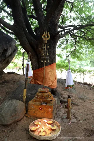 http://nithyananda.org/sites/default/files/photo-gallery/2018-11Nov-23-nithyananda-diary_bengaluru-aadheenam_bharani-karthigai-deepam_7T7A2867.jpg
