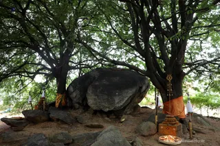 http://nithyananda.org/sites/default/files/photo-gallery/2018-11Nov-23-nithyananda-diary_bengaluru-aadheenam_bharani-karthigai-deepam_7T7A2870.jpg