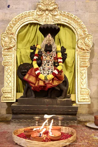 http://nithyananda.org/sites/default/files/photo-gallery/2018-11Nov-23-nithyananda-diary_bengaluru-aadheenam_bharani-karthigai-deepam_7T7A2913.jpg