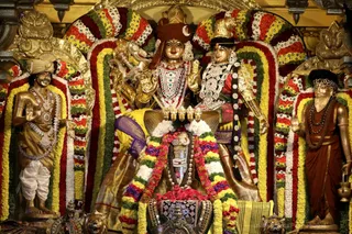 http://nithyananda.org/sites/default/files/photo-gallery/2018-11Nov-24-nithyananda-diary_bengaluru-aadheenam_uttamotama-seva_7T7A3005.JPG