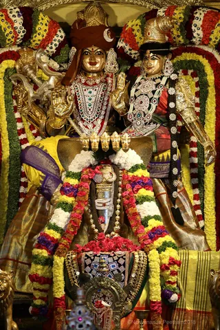 http://nithyananda.org/sites/default/files/photo-gallery/2018-11Nov-24-nithyananda-diary_bengaluru-aadheenam_uttamotama-seva_7T7A3008.JPG