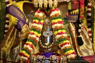 http://nithyananda.org/sites/default/files/photo-gallery/2018-11Nov-25-nithyananda-diary_bengaluru-aadheenam_uttamotama-seva_7T7A3073_0.JPG