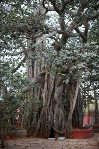 http://nithyananda.org/sites/default/files/photo-gallery/2018-11Nov-27-nithyananda-diary_bengaluru-aadheenam_uttamotama-seva_IMG_9801.JPG