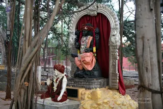 http://nithyananda.org/sites/default/files/photo-gallery/2018-11Nov-27-nithyananda-diary_bengaluru-aadheenam_uttamotama-seva_IMG_9805.JPG