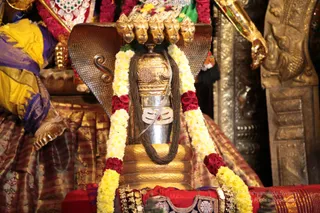 http://nithyananda.org/sites/default/files/photo-gallery/2018-11Nov-28-nithyananda-diary_bengaluru-aadheenam_uttamotama-seva_IMG_0218.JPG