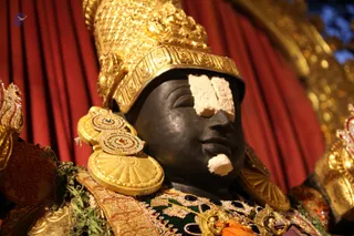 http://nithyananda.org/sites/default/files/photo-gallery/2018-11Nov-29-nithyananda-diary_bengaluru-aadheenam_uttamotama-seva_IMG_0456.JPG