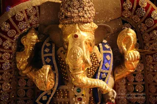 http://nithyananda.org/sites/default/files/photo-gallery/2018-11Nov-29-nithyananda-diary_bengaluru-aadheenam_uttamotama-seva_IMG_0491.JPG
