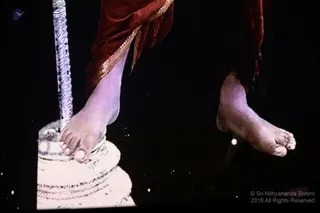 http://nithyananda.org/sites/default/files/photo-gallery/2018-12DEC-26-nithyananda-diary_bengaluru-aadheenam_paramashivoham%20-glimpses_7T7A0093.JPG