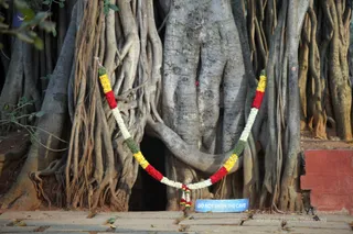 https://nithyananda.org/sites/default/files/photo-gallery/2018-12Dec-02-nithyananda-diary_bengaluru-aadheenam_uttamotama-seva_IMG_4807.JPG