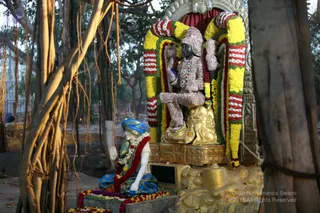 https://nithyananda.org/sites/default/files/photo-gallery/2018-12Dec-02-nithyananda-diary_bengaluru-aadheenam_uttamotama-seva_IMG_4812.JPG