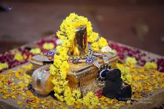 https://nithyananda.org/sites/default/files/photo-gallery/2018-12Dec-02-nithyananda-diary_bengaluru-aadheenam_uttamotama-seva_IMG_4823.JPG