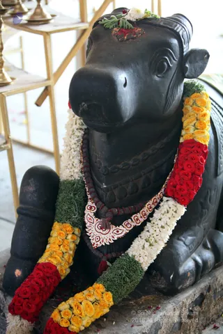 https://nithyananda.org/sites/default/files/photo-gallery/2018-12Dec-02-nithyananda-diary_bengaluru-aadheenam_uttamotama-seva_IMG_4910.JPG