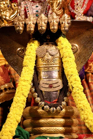 http://nithyananda.org/sites/default/files/photo-gallery/2018-12Dec-03-nithyananda-diary_bengaluru-aadheenam_uttamotama-seva_7T7A4059.JPG