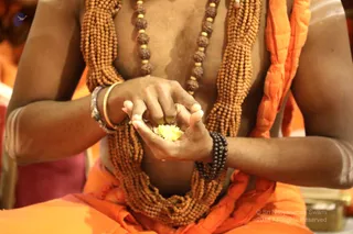 http://nithyananda.org/sites/default/files/photo-gallery/2018-12Dec-04-nithyananda-diary_bengaluru-aadheenam_uttamotama-seva_7T9A4266.JPG