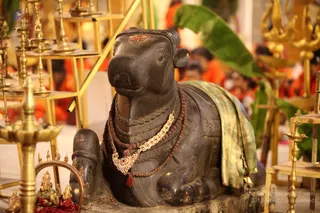 https://nithyananda.org/sites/default/files/photo-gallery/2018-12Dec-04-nithyananda-diary_bengaluru-aadheenam_uttamotama-seva_IMG_5447.JPG?1546603537