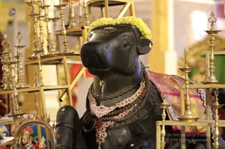 https://nithyananda.org/sites/default/files/photo-gallery/2018-12Dec-05-nithyananda-diary_bengaluru-aadheenam_uttamotama-seva_7T9A4530.JPG?1544003377