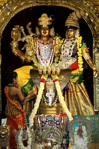 http://nithyananda.org/sites/default/files/photo-gallery/2018-12Dec-11-nithyananda-diary_bengaluru-aadheenam_uttamotama-seva_7T9A5687.JPG