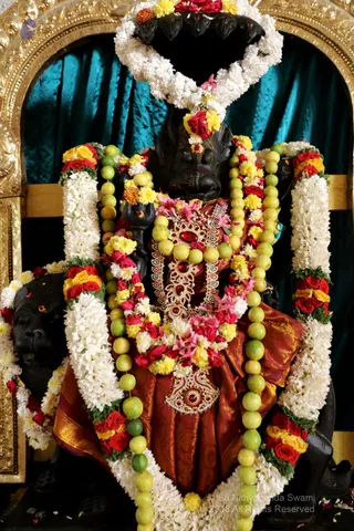 http://nithyananda.org/sites/default/files/photo-gallery/2018-12Dec-12-nithyananda-diary_bengaluru-aadheenam_uttamotama-seva_7T9A5843.JPG