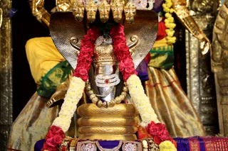 http://nithyananda.org/sites/default/files/photo-gallery/2018-12Dec-12-nithyananda-diary_bengaluru-aadheenam_uttamotama-seva_7T9A5854.JPG