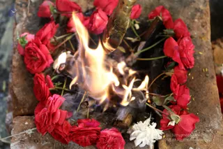 http://nithyananda.org/sites/default/files/photo-gallery/2018-12Dec-12-nithyananda-diary_bengaluru-aadheenam_uttamotama-seva_7T9A5909.JPG