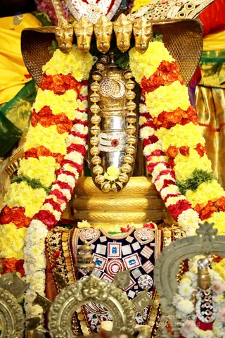 http://nithyananda.org/sites/default/files/photo-gallery/2018-12Dec-14-nithyananda-diary_bengaluru-aadheenam_uttamotama-seva_7T9A6344.JPG