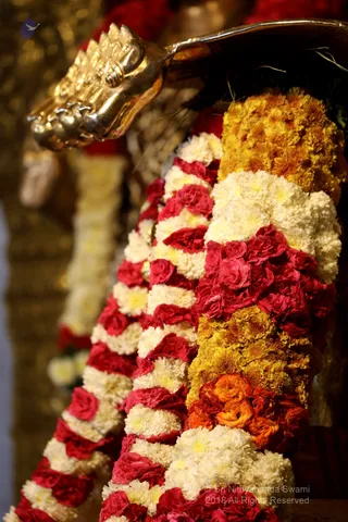 http://nithyananda.org/sites/default/files/photo-gallery/2018-12Dec-15-nithyananda-diary_bengaluru-aadheenam_uttamotama-seva_7T9A6528.JPG