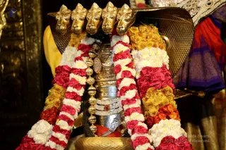http://nithyananda.org/sites/default/files/photo-gallery/2018-12Dec-15-nithyananda-diary_bengaluru-aadheenam_uttamotama-seva_7T9A6547.JPG