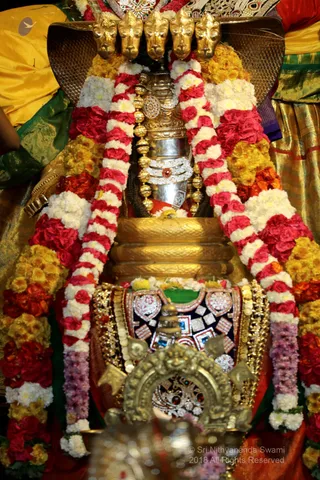http://nithyananda.org/sites/default/files/photo-gallery/2018-12Dec-15-nithyananda-diary_bengaluru-aadheenam_uttamotama-seva_7T9A6556.JPG