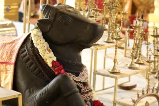 http://nithyananda.org/sites/default/files/photo-gallery/2018-12Dec-16-nithyananda-diary_bengaluru-aadheenam_uttamotama-seva_7T9A6726.JPG