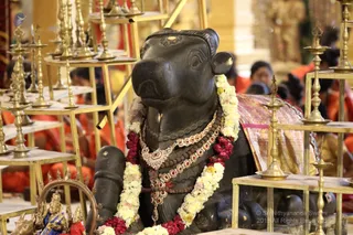 http://nithyananda.org/sites/default/files/photo-gallery/2018-12Dec-17-nithyananda-diary_bengaluru-aadheenam_uttamotama-seva_7T9A6895.JPG