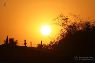 Photo 11724320