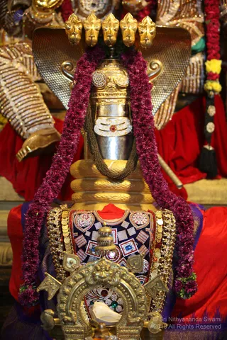 https://nithyananda.org/sites/default/files/photo-gallery/2019-01JAN-04-nithyananda-diary_bengaluru-aadheenam_uttamotama-seva_IMG_5889.JPG?1546691794