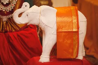 http://nithyananda.org/sites/default/files/photo-gallery/20_Nithyananda_Swami_MG_4574.JPG