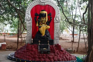 http://nithyananda.org/sites/default/files/photo-gallery/2_Nithyananda-3_Apr-2012.JPG
