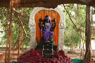 http://nithyananda.org/sites/default/files/photo-gallery/2_Nithyananda_17_Ar_2012.JPG
