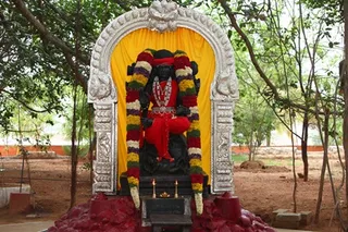 http://nithyananda.org/sites/default/files/photo-gallery/2_Nithyananda_1_May_2012.JPG