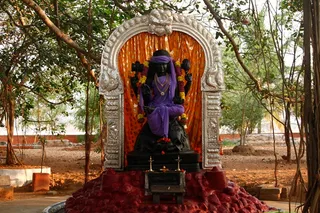 http://nithyananda.org/sites/default/files/photo-gallery/3_Nithyananda-8_Apr_2012.JPG